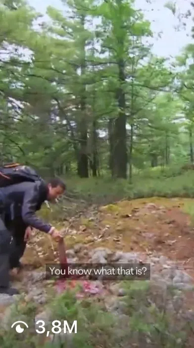 Bear Grylls content - millions of views
