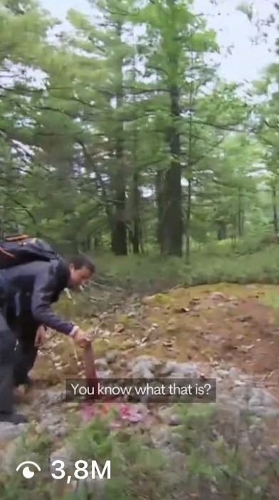 Bear Grylls content - 3.8M views